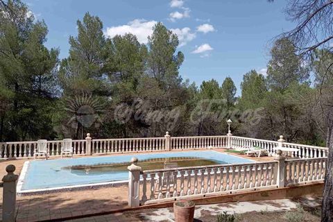 Landejendom i Ayora, Valencia, Ayora - € 186.000 | Ref: SF0459 - foto 28